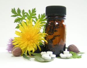allergy_dandelion medicine