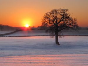 Vitamin D Sunrise