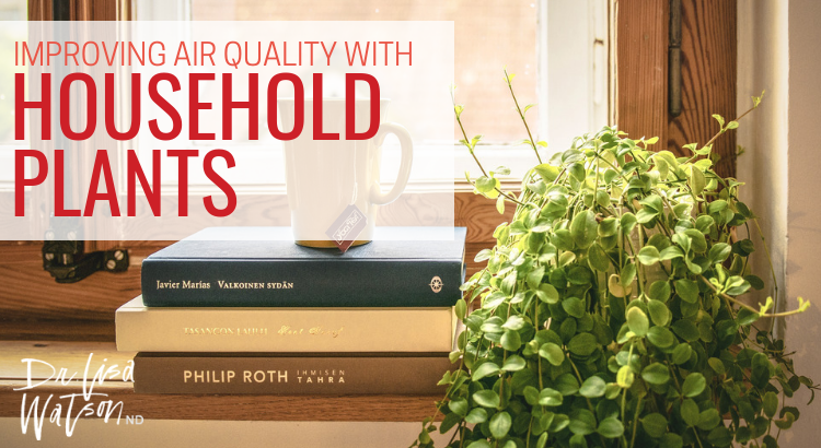Improving air quality with household plants