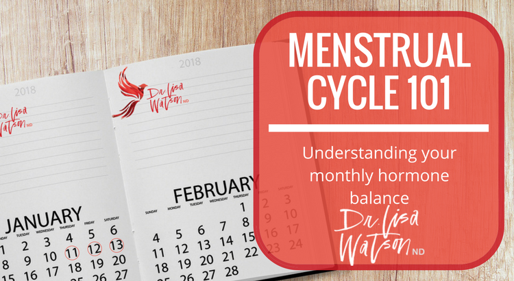 Menstrual Cycle 101