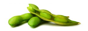 Soy is a vegetarian protein and source of iron