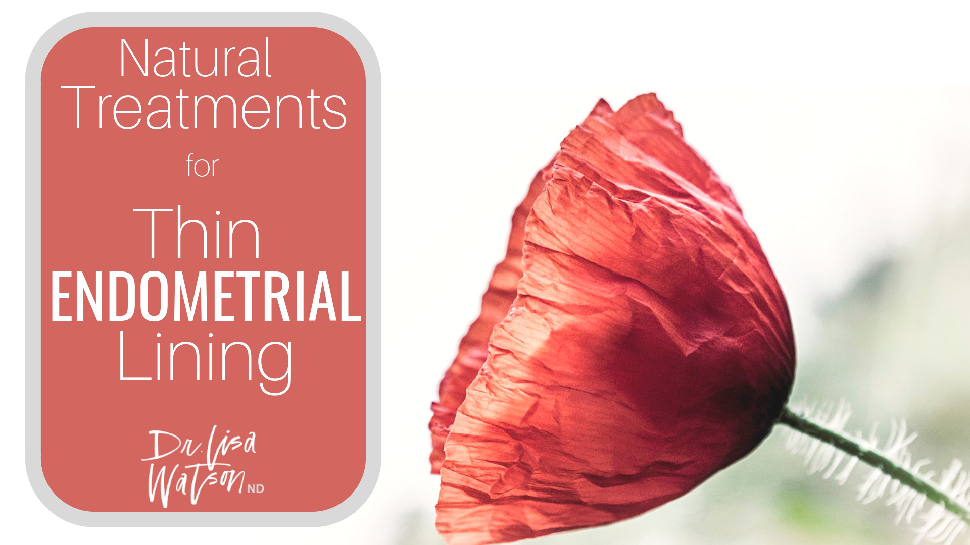 Is Uterine Lining Same As Endometrial Lining