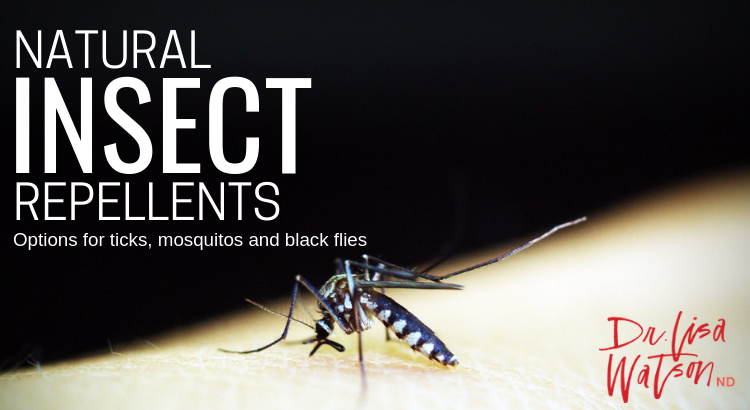 Natural insect repellents
