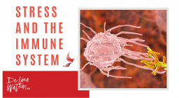 Stress and the immune system